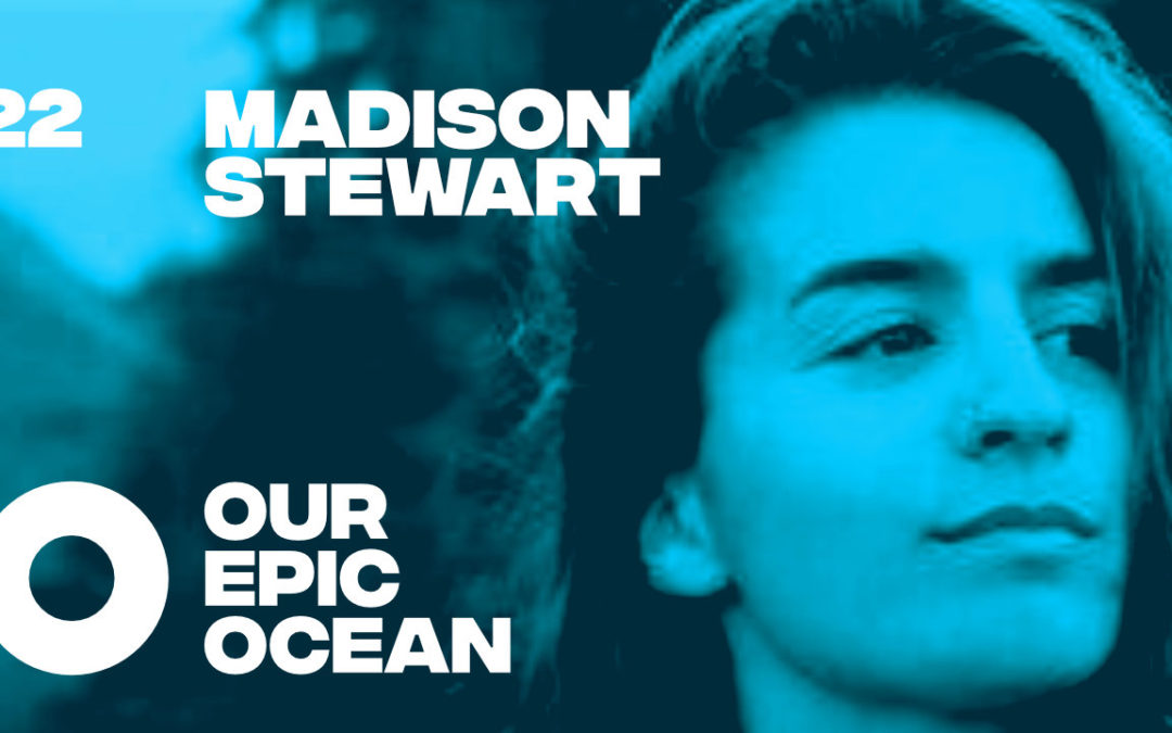 Episode 22: Madison Stewart – Shark Girl. Nautical Videographer. Shark Conservationist + Activist.  Filmmaker.